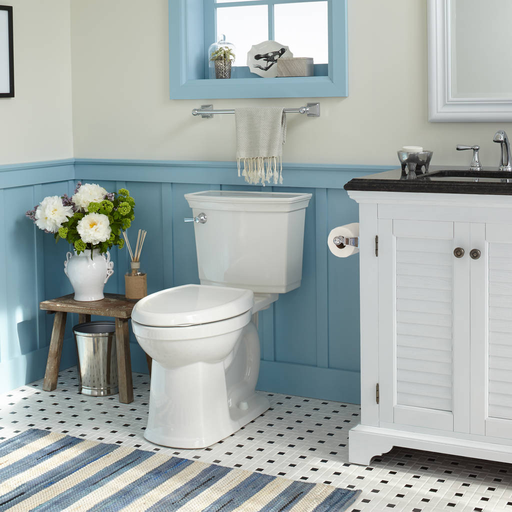 Optum VorMax High Efficient Right Height Elongated Complete Toilet 707AA101.020