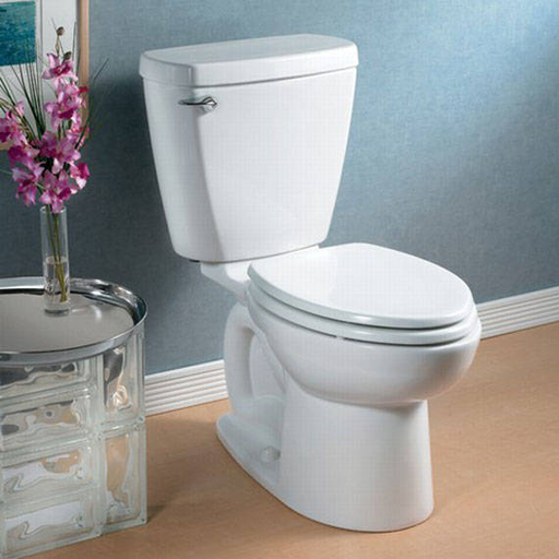 FloWise High Efficiency Elongated Toilet 2073014.020