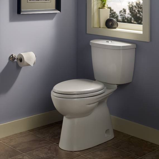 FloWise Dual Flush Round Front Toilet 2489216.020