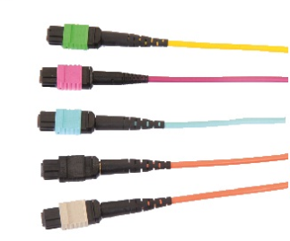 Cable Assemblies - FiberExpress MPO Trunk