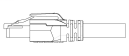 DDS_1363505