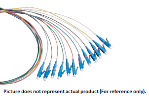 Product image for BELDEN FT4LC900PR12 OM4 PIGTAIL LC 12F 2M