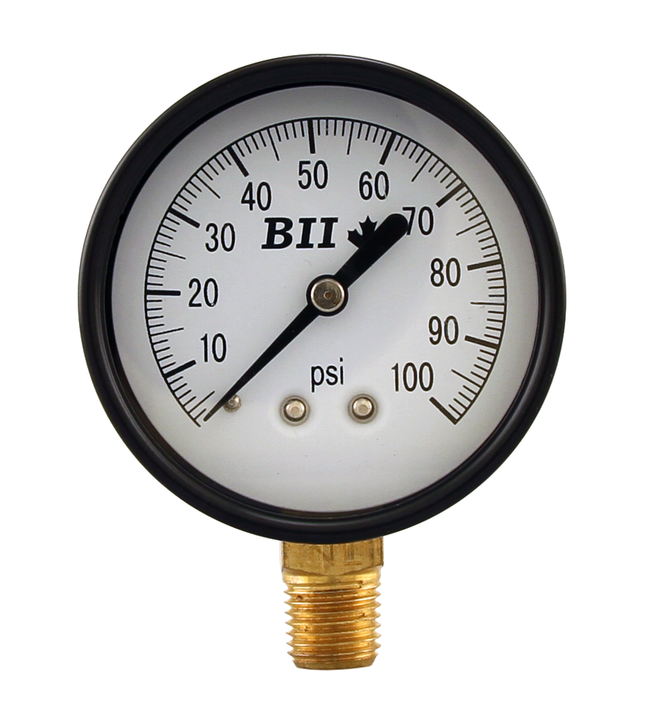NO LEAD 2.5"DRY 1/4"LM 0-100