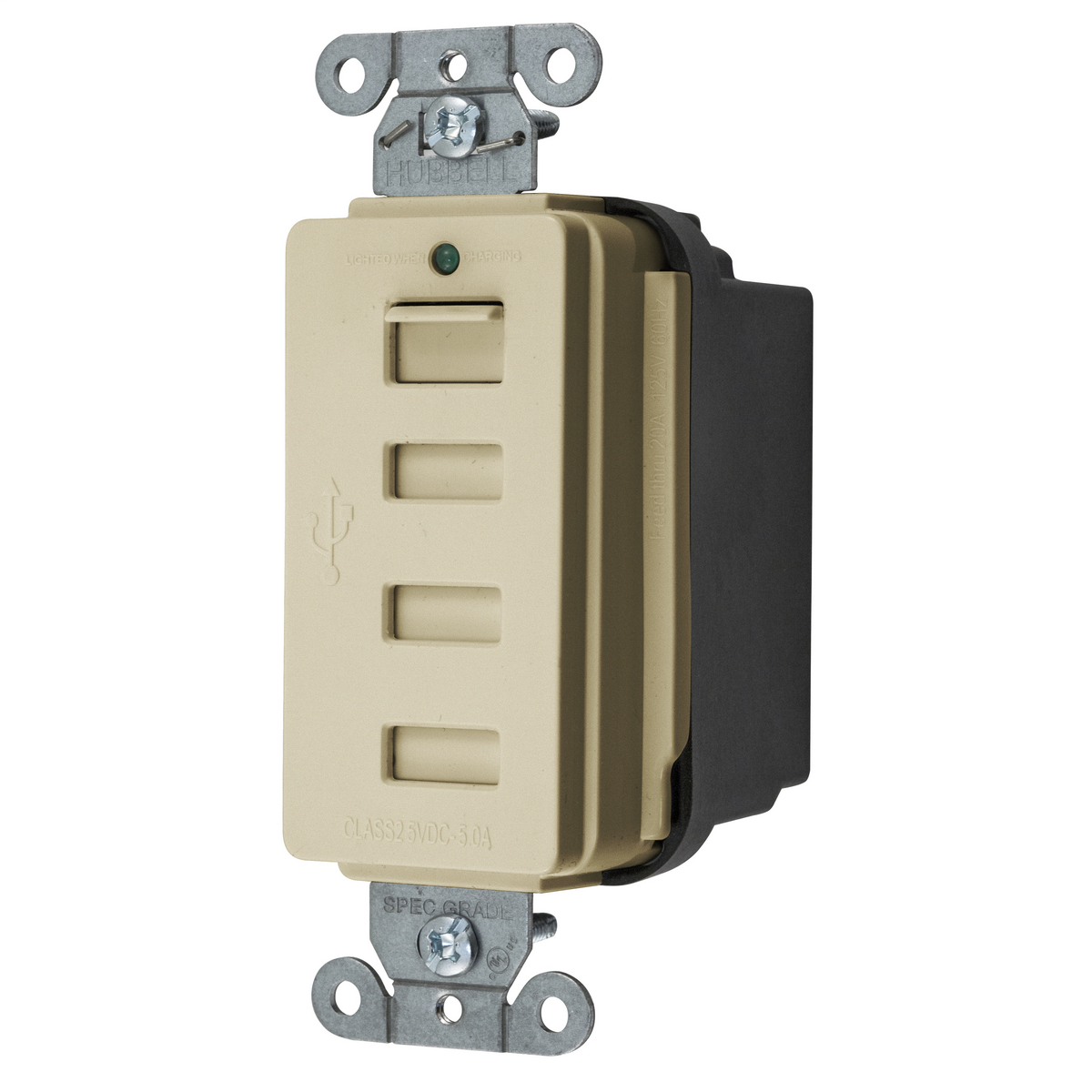 Straight Blade Devices, 125V, USB4I