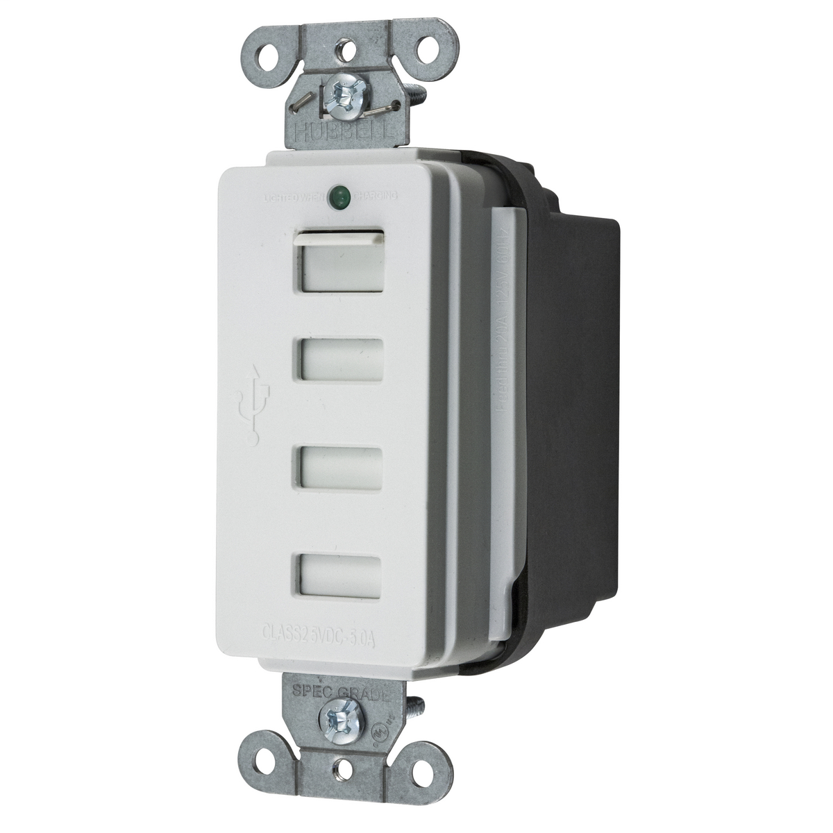 Straight Blade Devices, 125V, USB4W