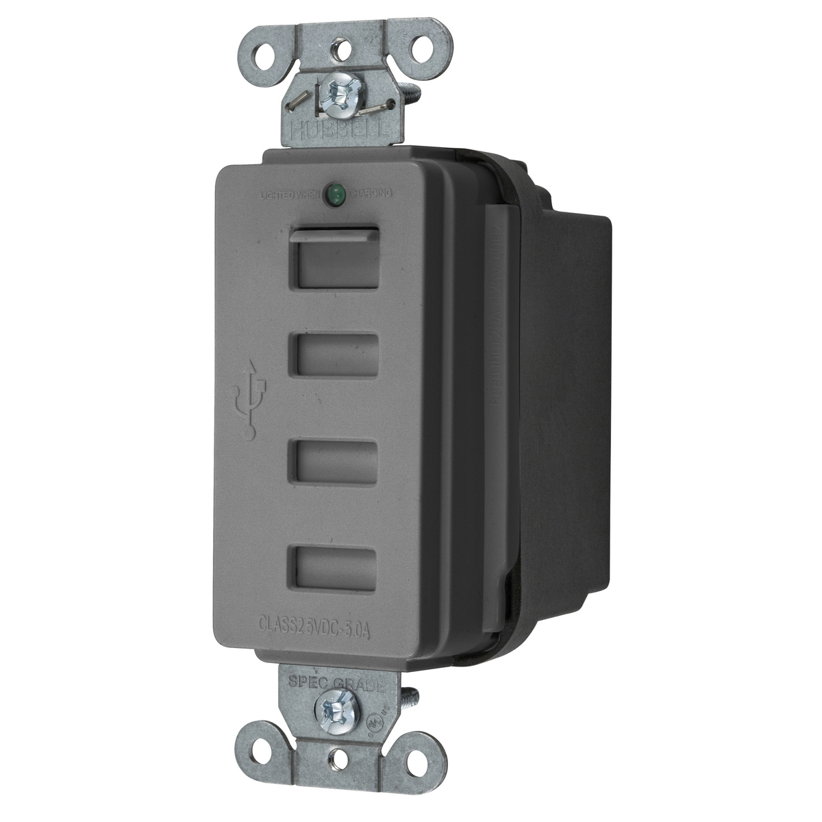 Straight Blade Devices, 125V, USB4GY