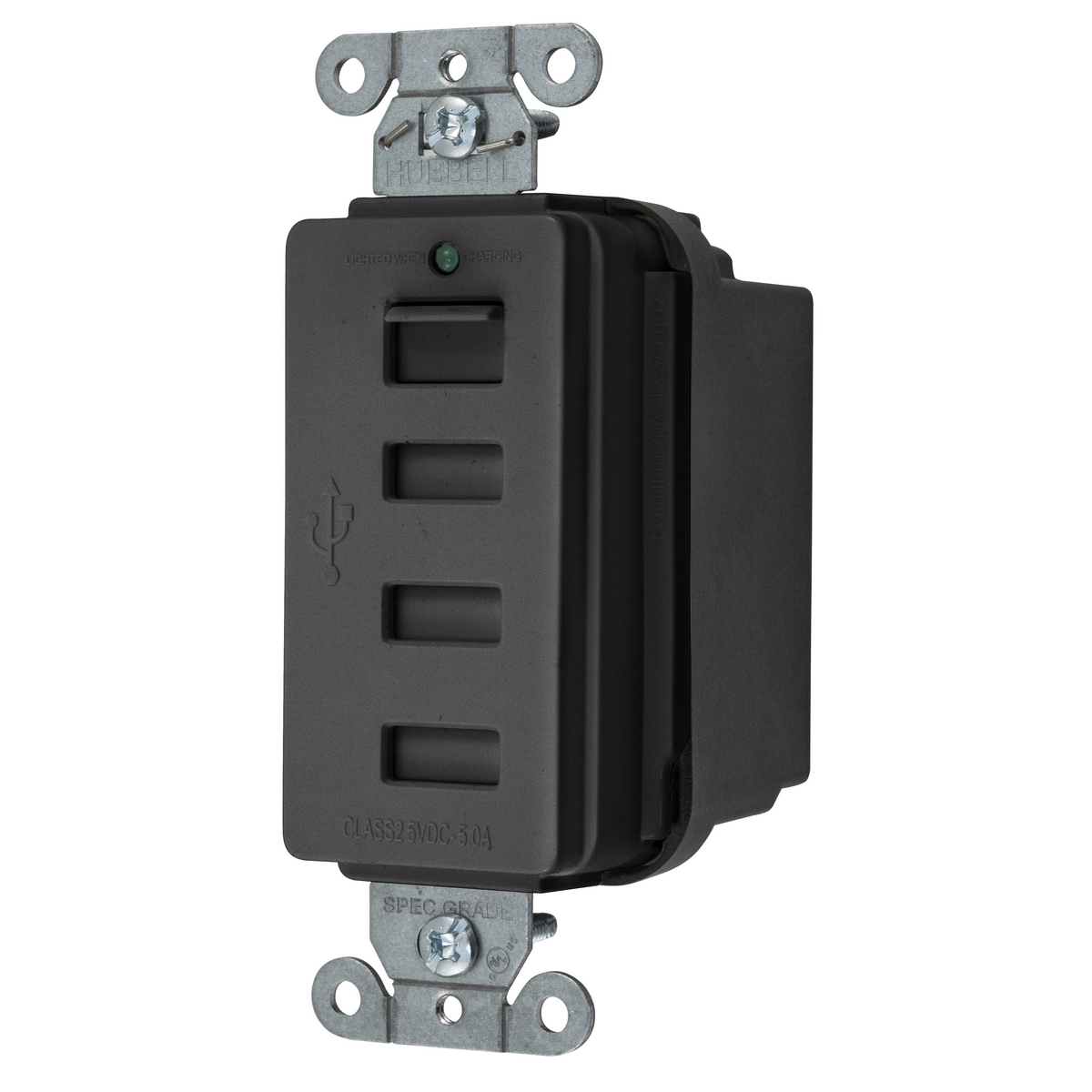 Straight Blade Devices, 125V, USB4BK
