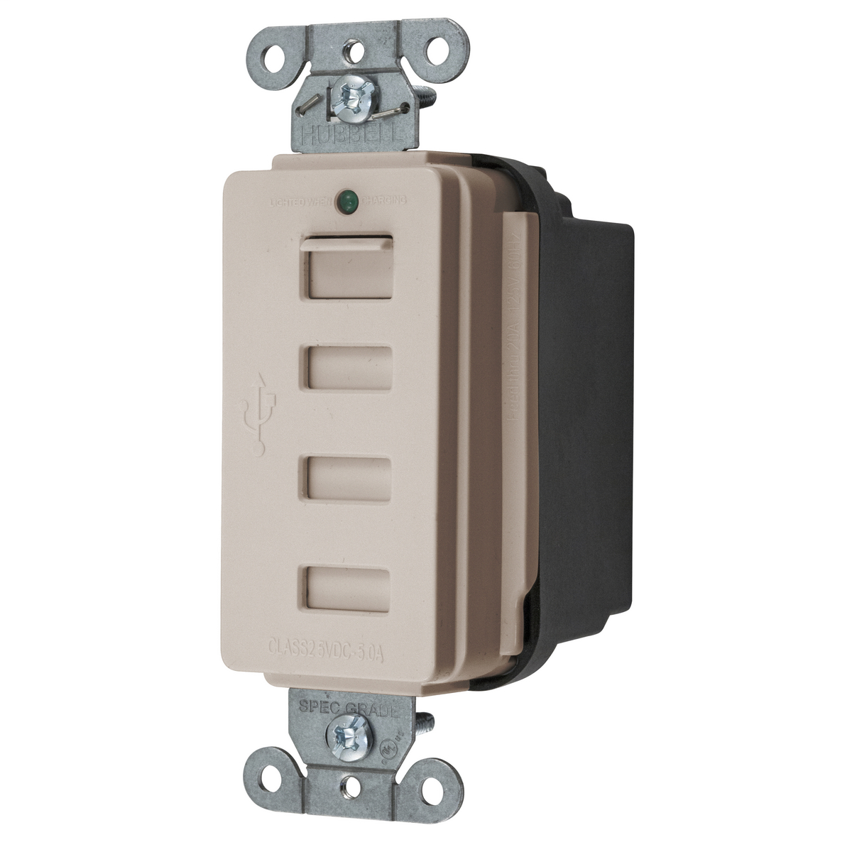 Straight Blade Devices, 125V, USB4LA