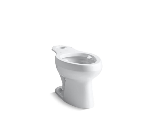Wellworth® toilet bowl with bedpan lugs and antimicrobial finish, less seat, White
