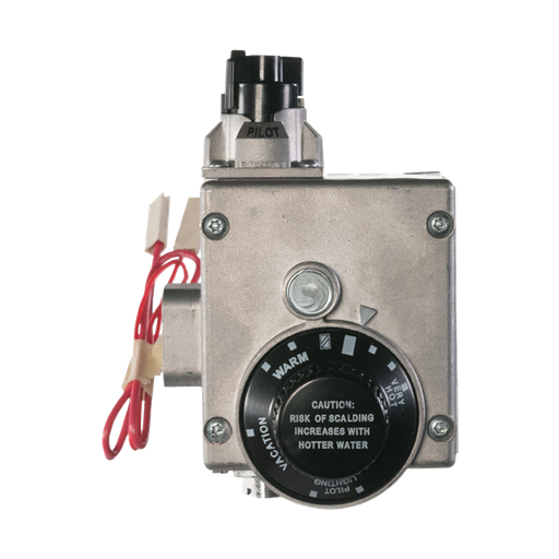Atmospheric Replacement Control: Natural Gas, 160°F (75°C), 1" Cavity, FVIR, SVC