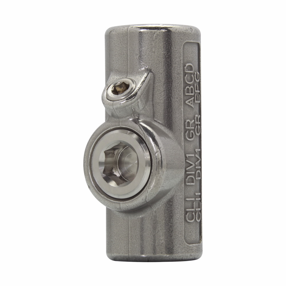 Product image for CRSH EYS21 SS 3/4 NPT FEM CST SS VE