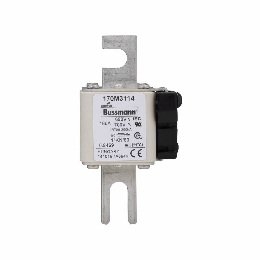 BUSS 170M3114 FUSE 160A 690V 1*KN/8 BUSS 170M3114 FUSE 160A 690V 1*KN/8