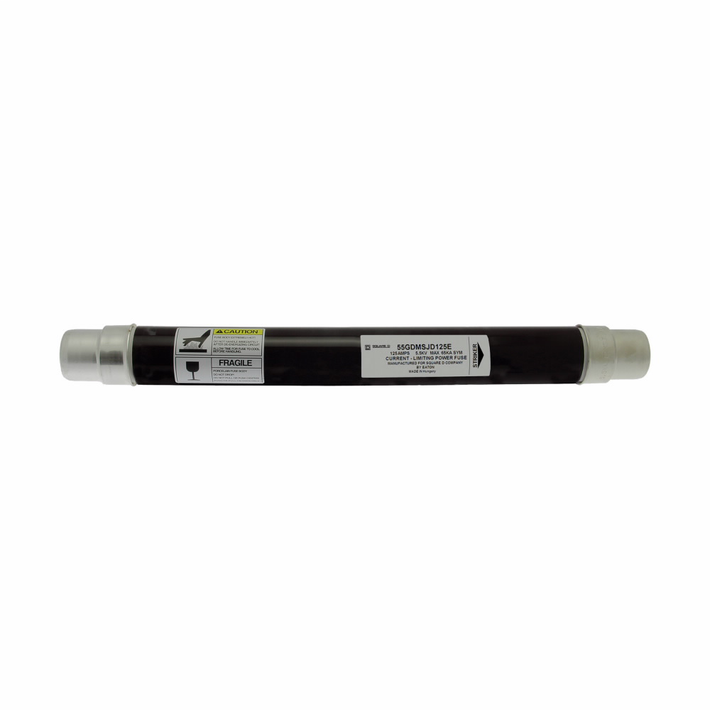 Product image for BUSS 55GDMSJD125E Fuse