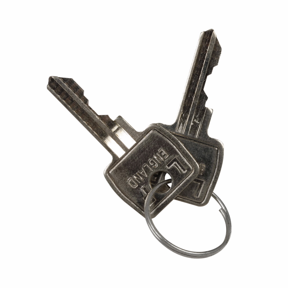 Product image for ETN E22KS2 SPARE KEY