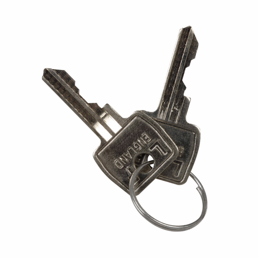 Product image for ETN E22KS2 SPARE KEY