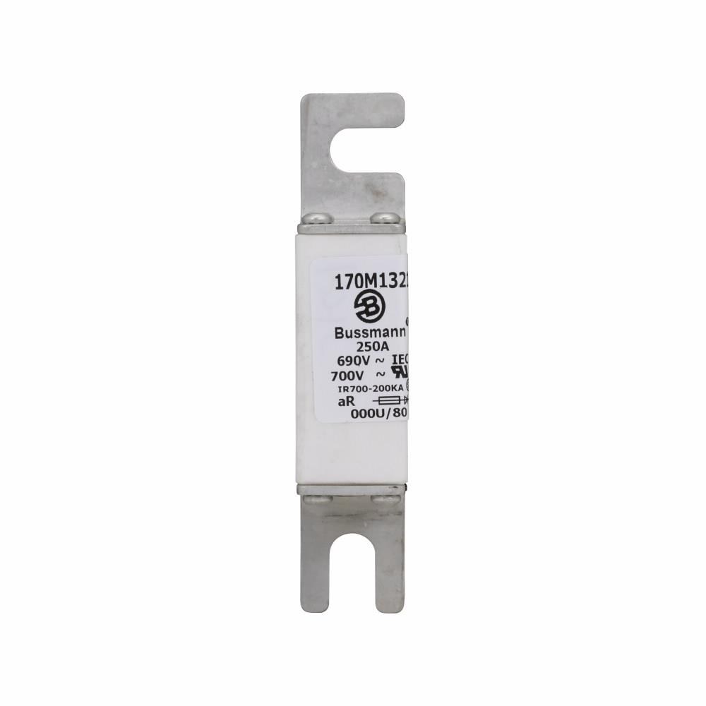 Product image for Bussmann Series 170M1321 250 Amp Fuse