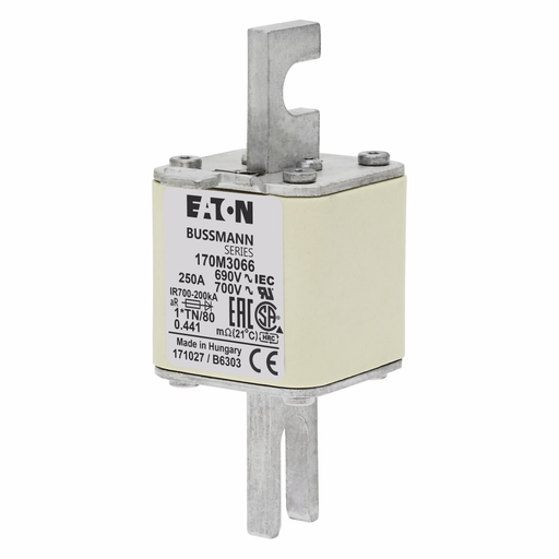 Product image for BUSS 170M3066 FUSE 250A 690V 1*TN/8