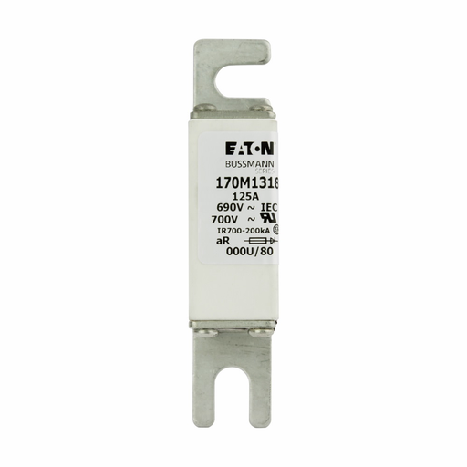 Product image for BUSS 170M1318 FUSE 125A 690V 000U/8