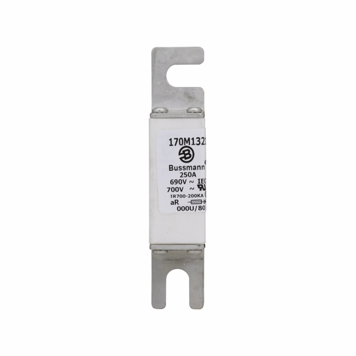 Product image for Bussmann Series 170M1321 250 Amp Fuse