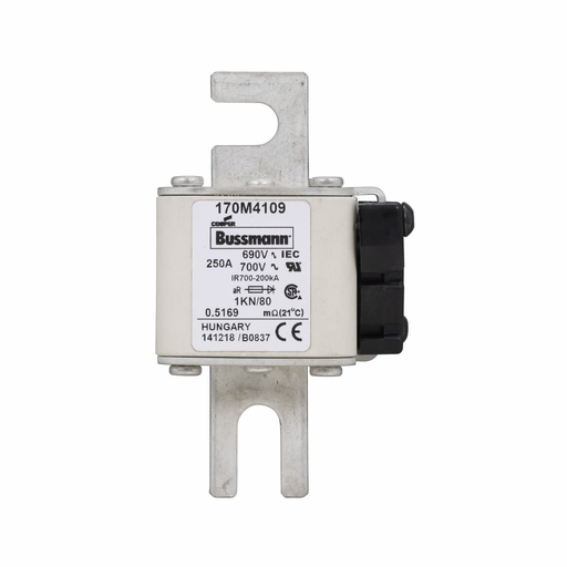 Product image for BUSS 170M4109 FUSE 250A 690V 1KN/80