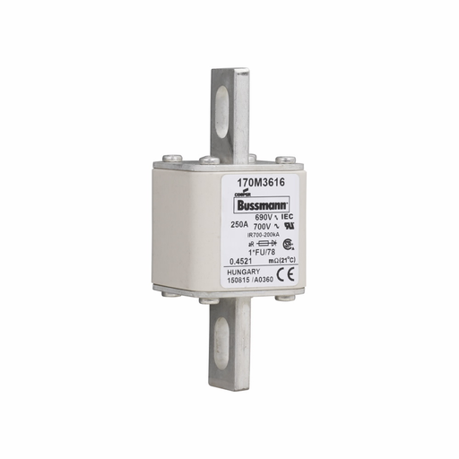 Product image for BUSS 170M3616 FUSE 250A 690V 1*FU/7