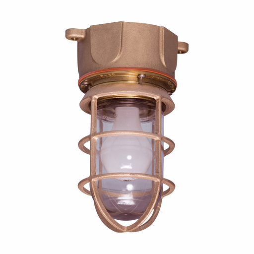 Product image for CRS-H 717B-C2 INCAND BRS-CEIL 100W