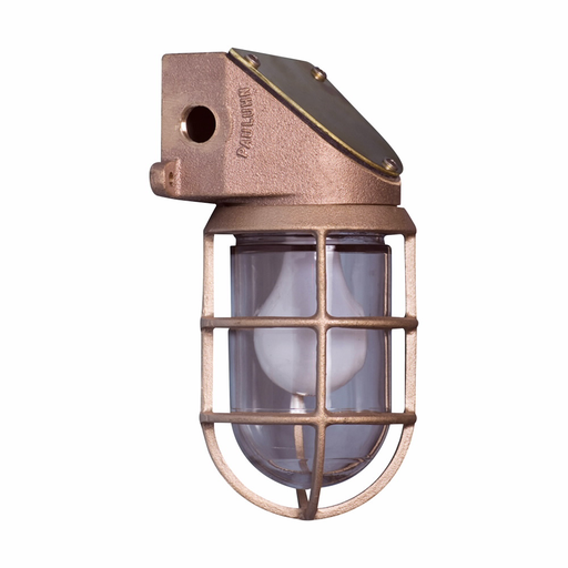 Product image for CRSH INX2006HR GLOBE CLR 100 WATT R