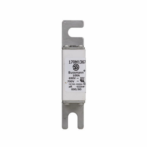 Product image for Bussmann Series 170M1367 100 Amp Fuse