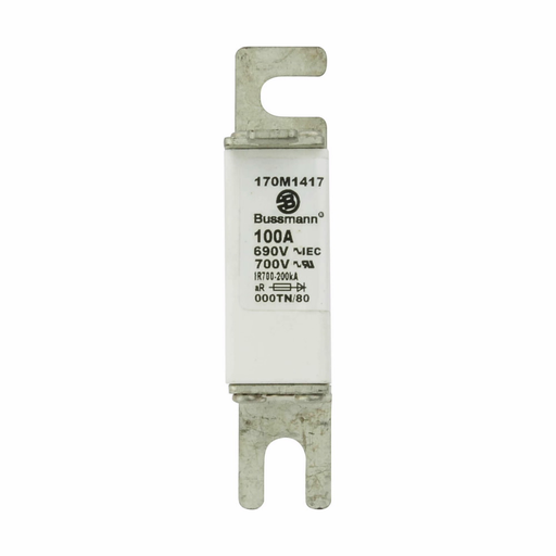 Product image for BUSS 170M1417 FUSE 100A 690V 000TN/