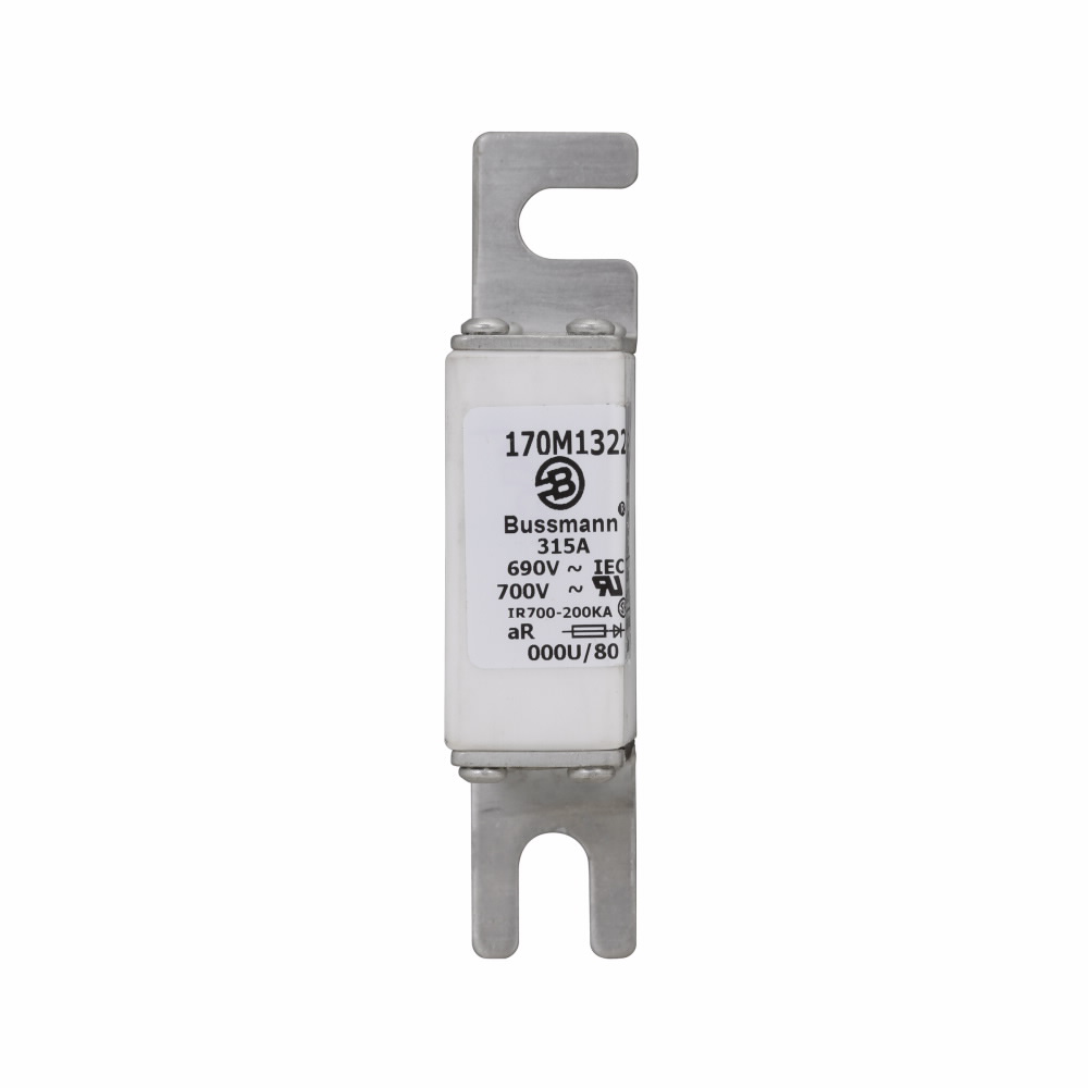 Product image for BUSS 170M1322 FUSE 315A 690V 000U/8