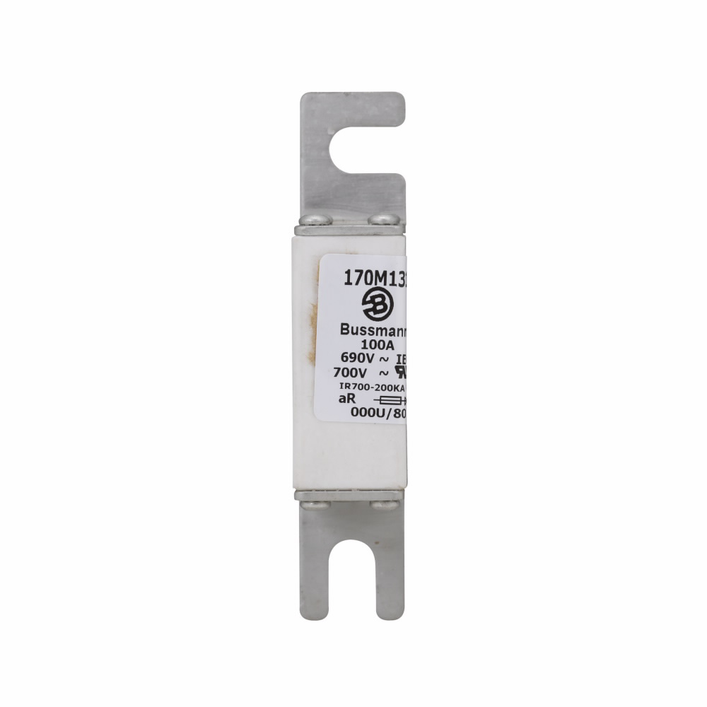 Product image for BUSS 170M1317 FUSE 100A 690V 000U/8