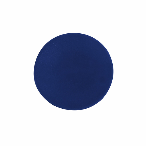 Product image for Cutler-Hammer M22-XD-B M22 pushbutton button plate, M22 Button Plate, 22.5 mm, Flush, Non-illuminated, Button: Blue, IP67, IP69K, NEMA 4X, 21