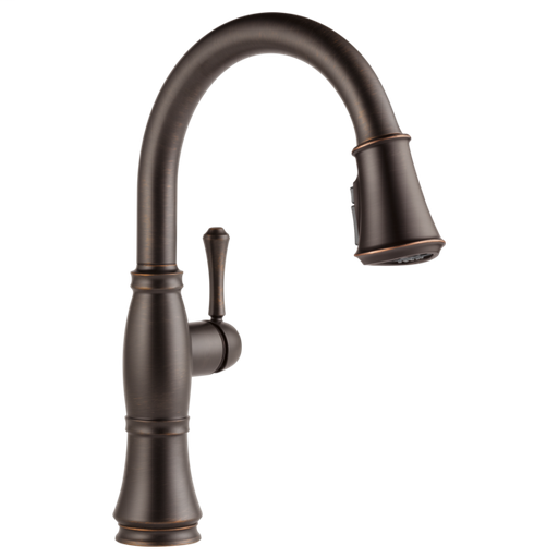 Cassidy Single Handle Pull-Down Kitchen Faucet with ShieldSpray Technology - Venetian Bronze