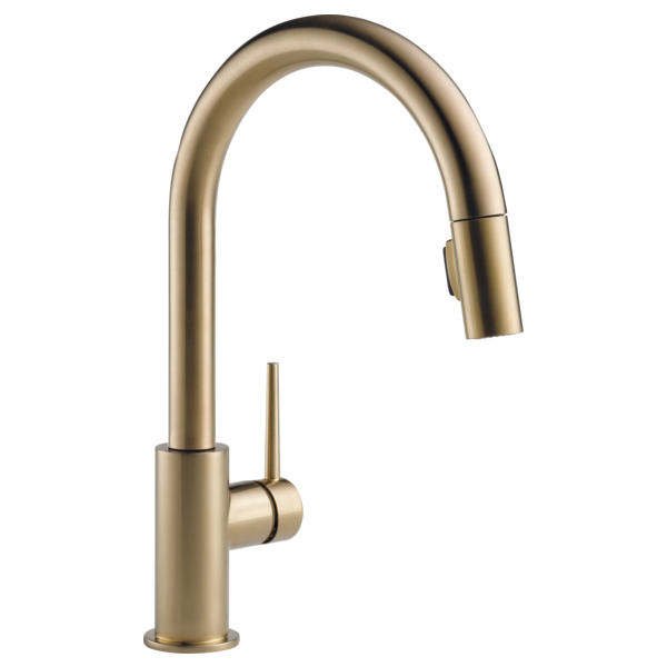 Trinsic Single Handle Pull-Down Kitchen Faucet - Champagne Bronze