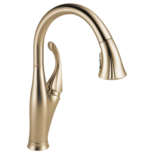 Addison Single Handle Pull-Down Kitchen Faucet with ShieldSpray Technology - Champagne Bronze
