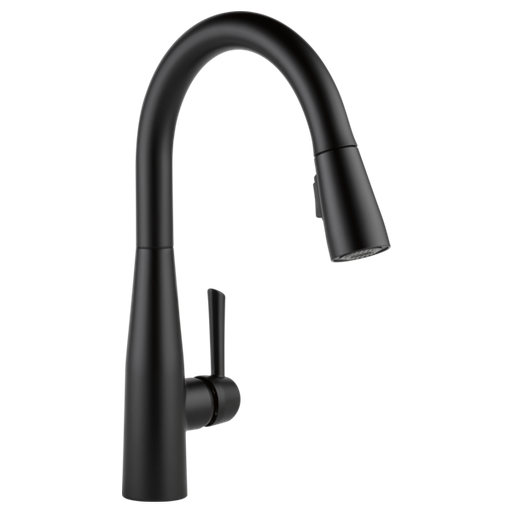 Essa Single Handle Pull-Down Kitchen Faucet - Matte Black