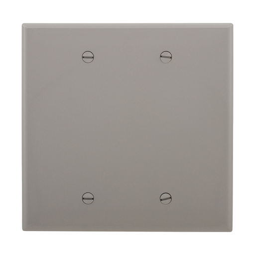 Mid-size Blank Wallplate