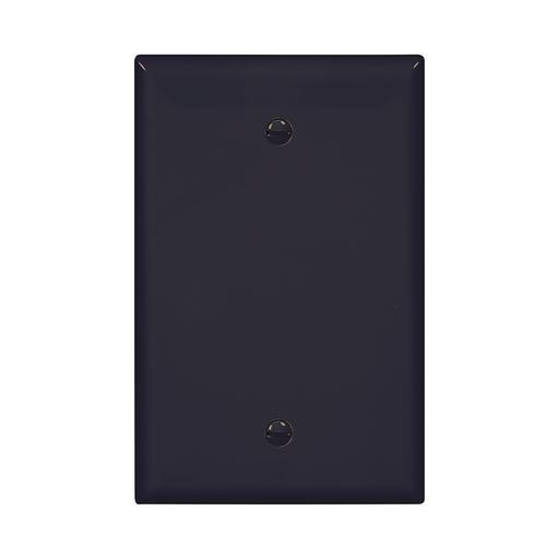 Mid-size Blank Wallplate