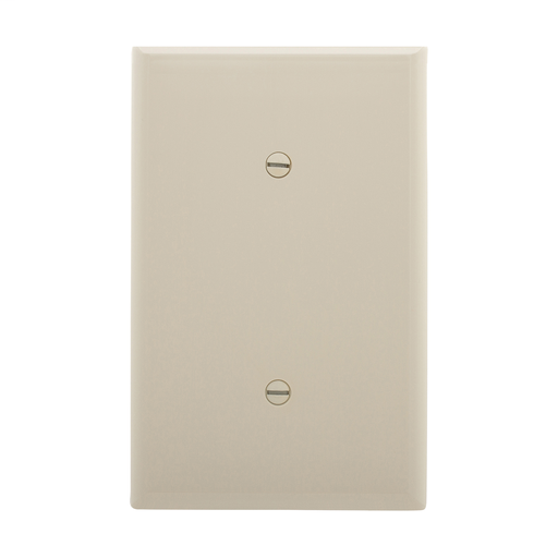 Mid-size Blank Wallplate