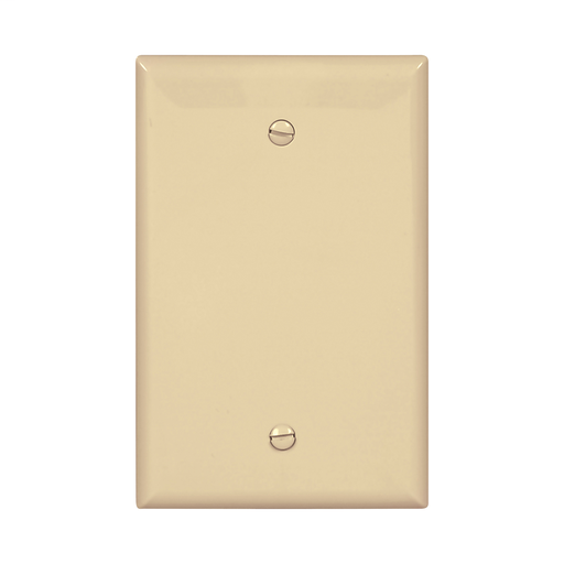 Mid-size Blank Wallplate