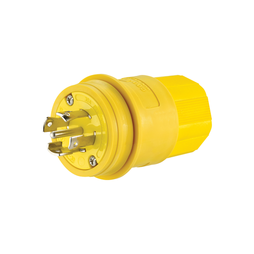 Locking Plug
