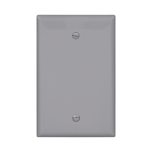 Mid-size Blank Wallplate