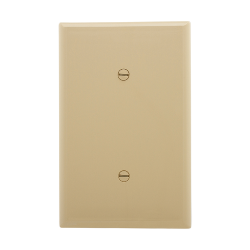 Mid-size Blank Wallplate