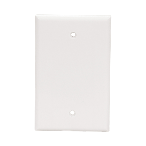 Product image for EWD 2029W-BOX Wallplate 1G Blank Th