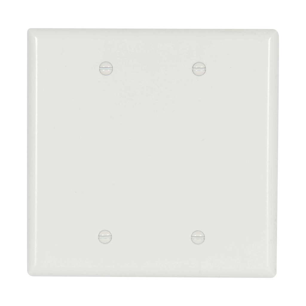 Product image for EWD 2037W-BOX Wallplate 2G Blank Th