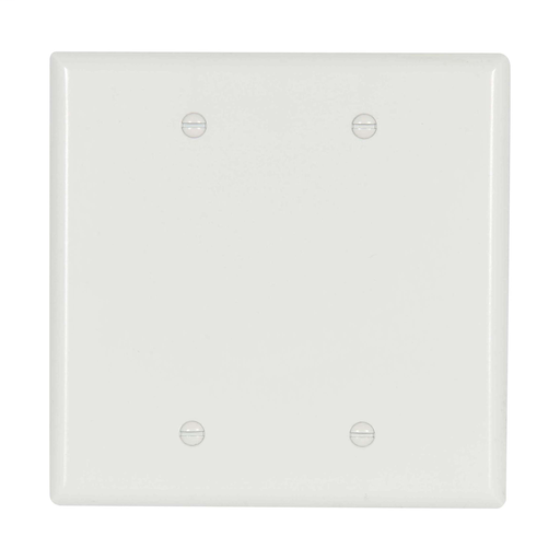Product image for EWD 2037W-BOX Wallplate 2G Blank Th