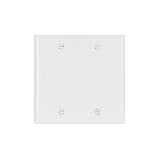 Mayer-DDS-Standard Size Blank Wallplate-1
