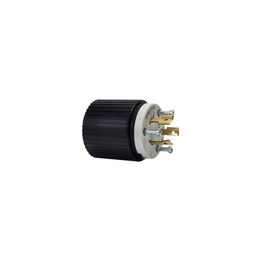 Locking Plug