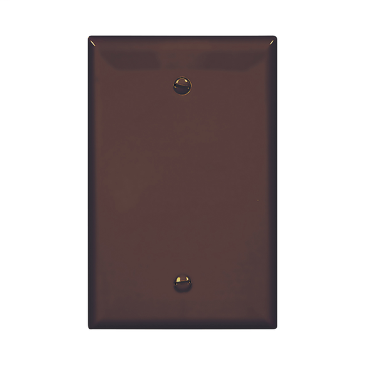 Mid-size Blank Wallplate