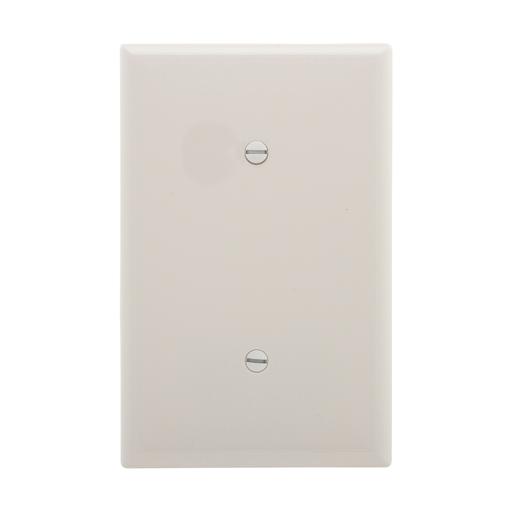 Mid-size Blank Wallplate